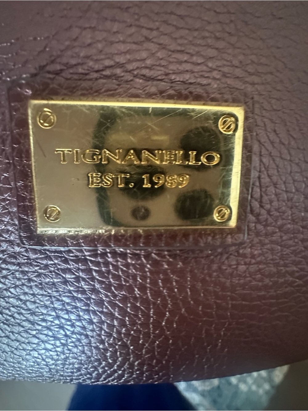 Tignanello Pebbled Leather Hobo in Burgundy - Picture 3 of 6
